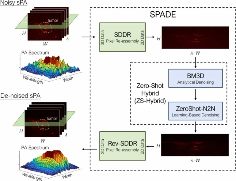 SPADE graphical abstract for spectroscopic photoacoustic denoising